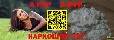 a pvp Тара