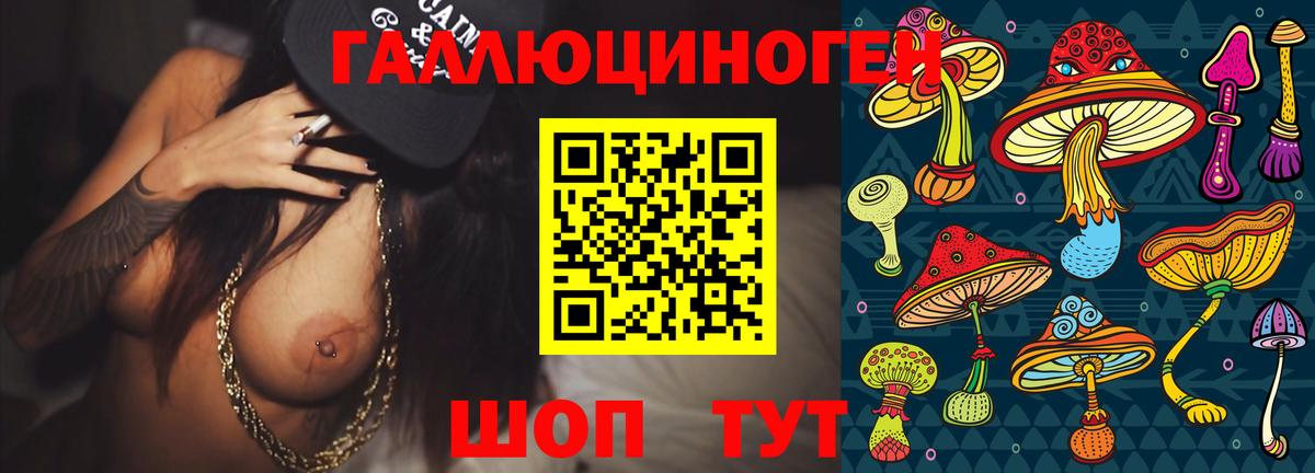 Галлюциногенные грибы GOLDEN TEACHER  Вход с VPN  где найти наркотики  Псилоцибиновые грибы GOLDEN TEACHER  Новочебоксарск 