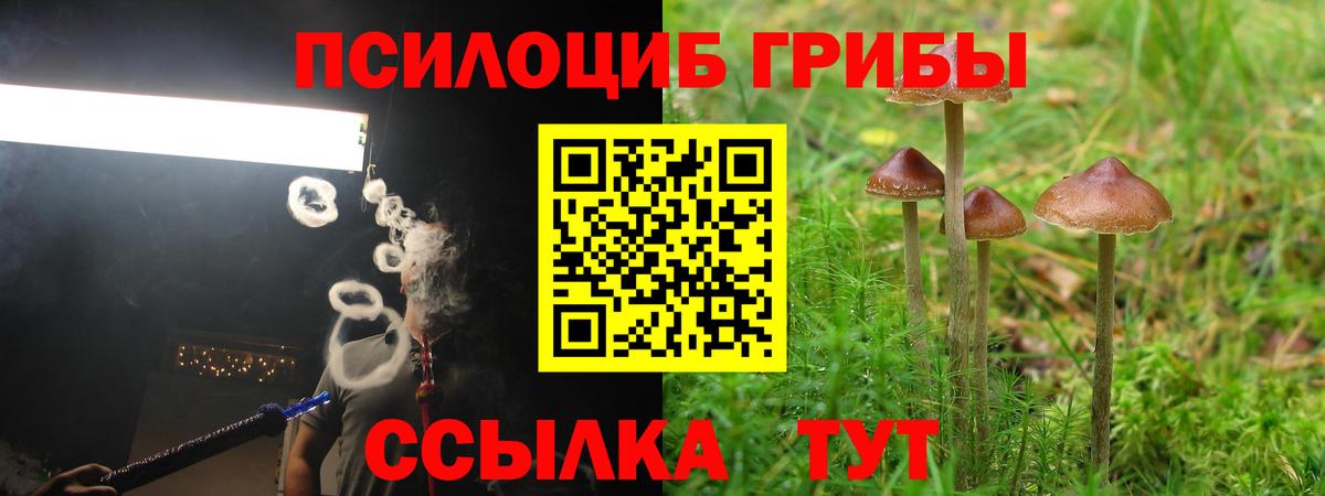 Галлюциногенные грибы мухоморы Новочебоксарск